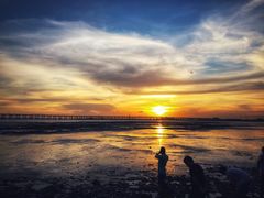 -宝安西湾红树林湿地公园