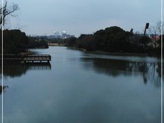 -新江湾城公园