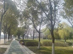 -东南大学(九龙湖校区)