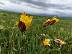 -新疆那拉提国家旅游度假区