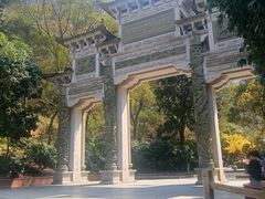 -云碧峰国家森林公园