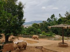 -泉州海丝野生动物世界
