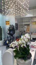 -Tloml salon
