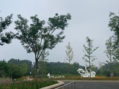 -东郊湿地公园