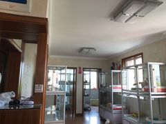 -宠爱多约克夏马尔济斯泰迪小型犬专卖