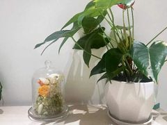 -上海附一心理咨询中心(儿童医学中心)