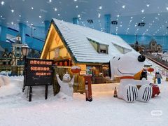 -广州热雪奇迹