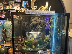 -夜幕浸入式超级密室(望京店)