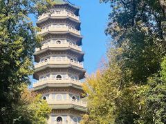 -灵谷景区