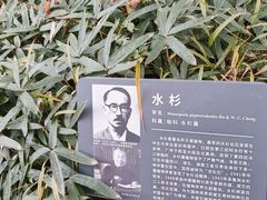 -国家植物园南园