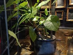 -炳胜公馆(珠江新城店)