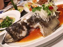 老虎斑-千灯盛汇·头牌粤菜(致越优城店)
