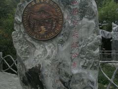 -王顺山国家森林公园