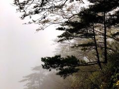 -牛背梁国家森林公园