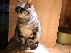 -有才叔的小馆(招商依云曲江店)