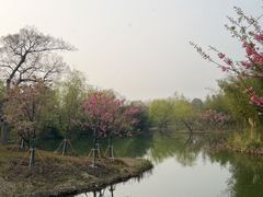 -梁鸿国家湿地公园