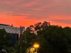 -武汉外国语学校