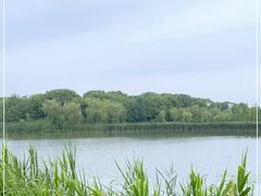 -昆山城市生态森林公园