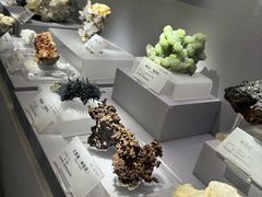 -湖南省地质博物馆