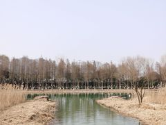 -苏州太湖湖滨国家湿地公园