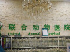 -联合动物医院(光谷诊疗中心)