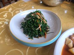 拌沙葱-新疆巴州金丝特餐厅(大钟寺店)