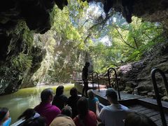 -怀托摩萤火虫洞