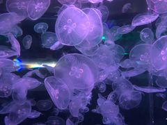 -宁波海洋世界-售票处