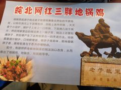 -武氏皖北网红三胖地锅鸡(桐城路店)