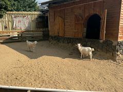 -HERRE·FARM 赫尔露营农场·团建聚会包场