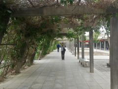 -敦煌莫高窟数字展示中心
