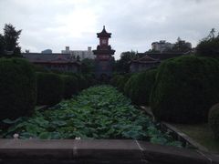 iphone_upload_pic-四川大学(华西校区)