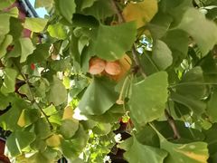 -盛世南宫影视城(北普陀影视城)
