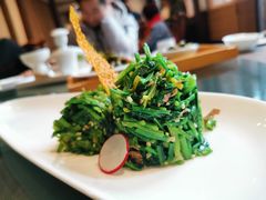 -见山书院
