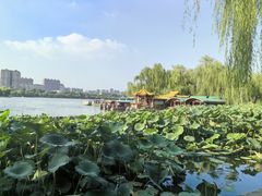 -济南大明湖景区