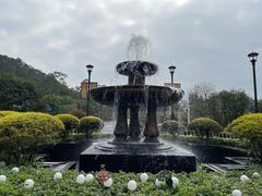 -美的鹭湖森林度假区