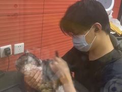 -瑞派·爱瑞可动物医院·口腔专科(广华新城分院)