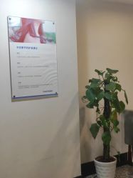 -碧莲盛·不剃发植发