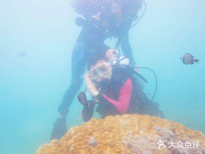 海南分界洲岛旅游区图片