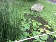 -微热山丘(台北民生公园门市店)