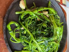 铁板通菜-龙记·香港茶餐厅(海上世界店)