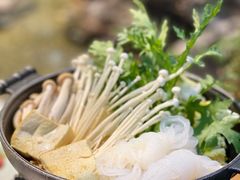 -森味薪火烧•烧鸟居酒屋•日本料理(望京店)