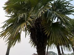 -东湖景区