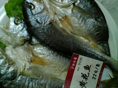 -双合园·海鲜水饺青岛菜(上清路店)