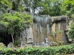 -西双版纳原始森林公园