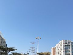 -金莲花广场