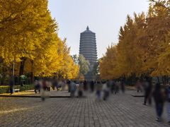 -玲珑塔公园