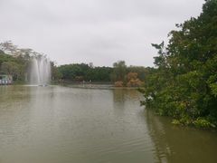 -大湾区中央湿地公园