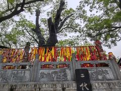-大槐树寻根祭祖园