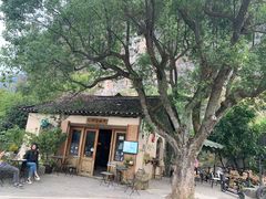 -村上春树